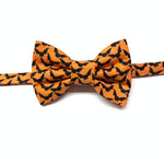 Load image into Gallery viewer, Bat print cat bow tie
