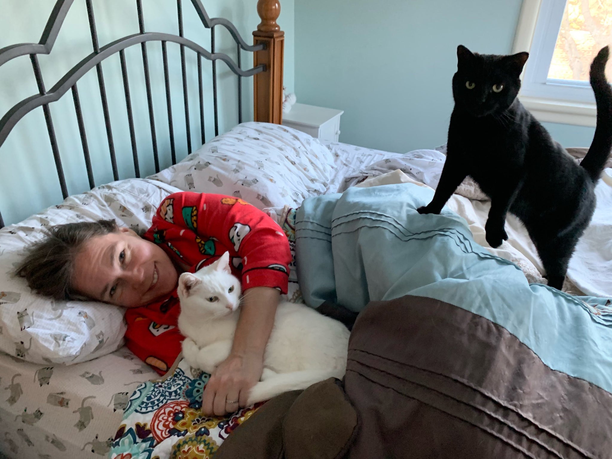 How my cats have helped me during the pandemic