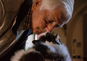 Working Cats: Therapy cats