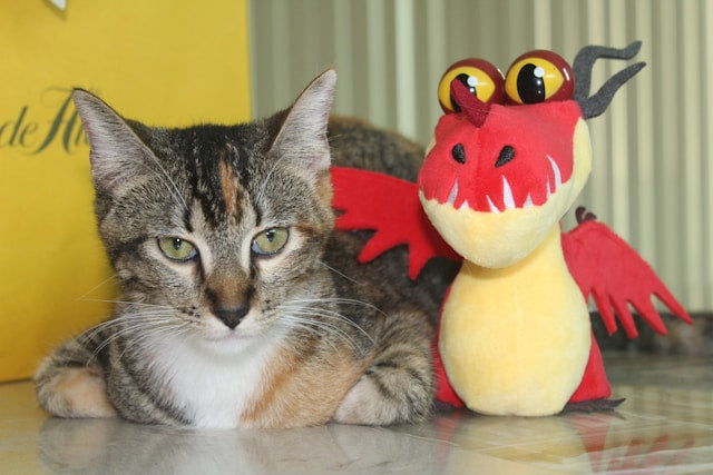 Lunar New Year: Why is there no year of the cat?