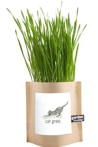 Cat Grass Garden in a Bag