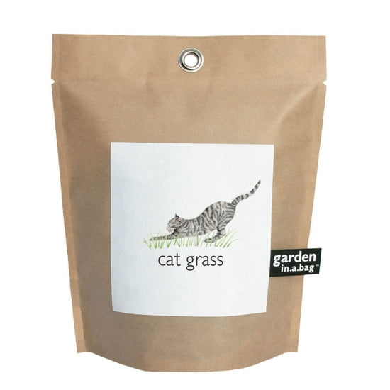 Cat Grass grow in bag kit