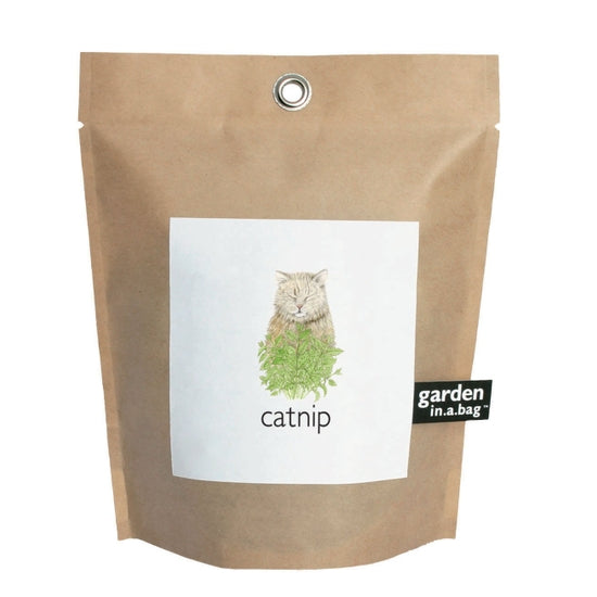 Catnip grow in a bag kit
