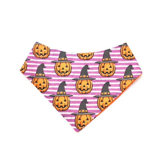 Pumpkin cat bandana